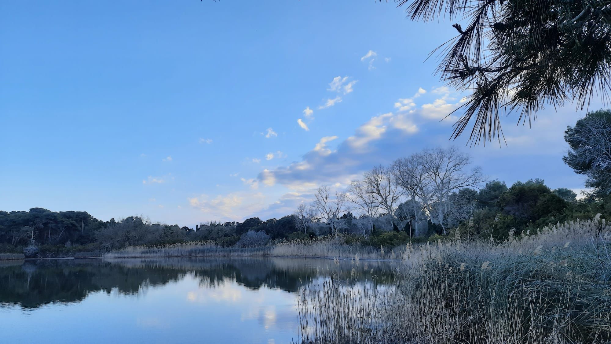 laghi alimini